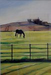 horse with long shadows